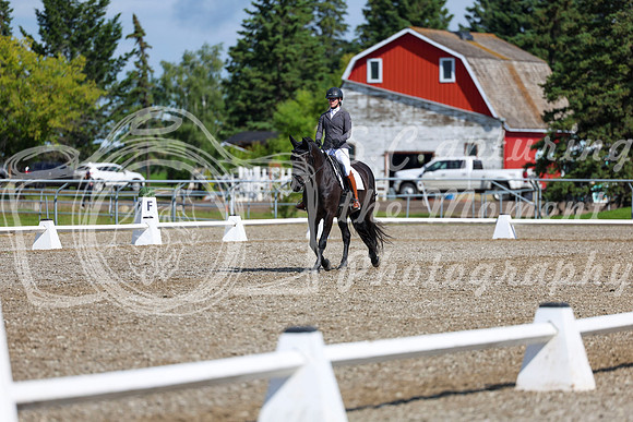06463 - 2026 Dressage Festival - Sunday July 5th