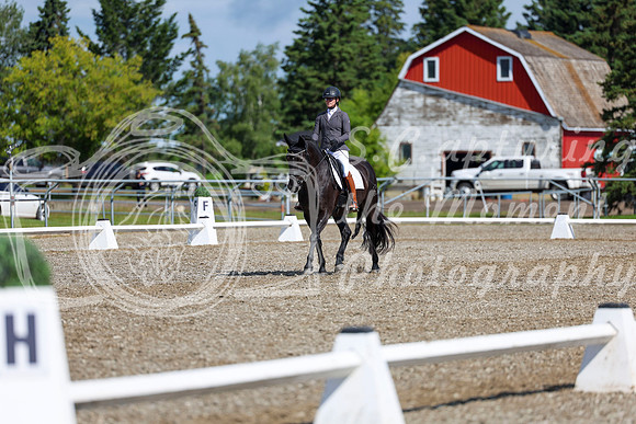 06464 - 2026 Dressage Festival - Sunday July 5th