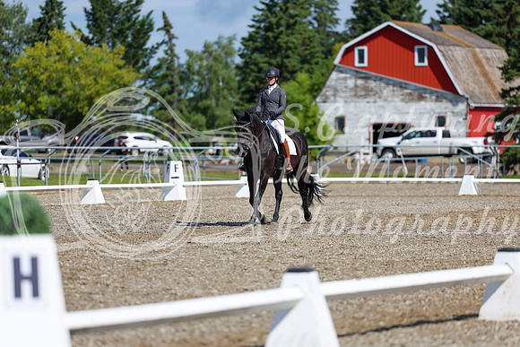 06467 - 2026 Dressage Festival - Sunday July 5th