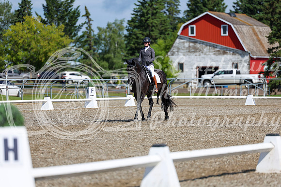 06465 - 2026 Dressage Festival - Sunday July 5th