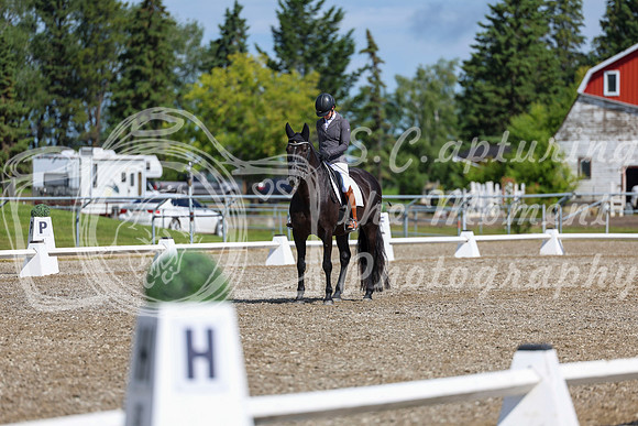 06468 - 2026 Dressage Festival - Sunday July 5th