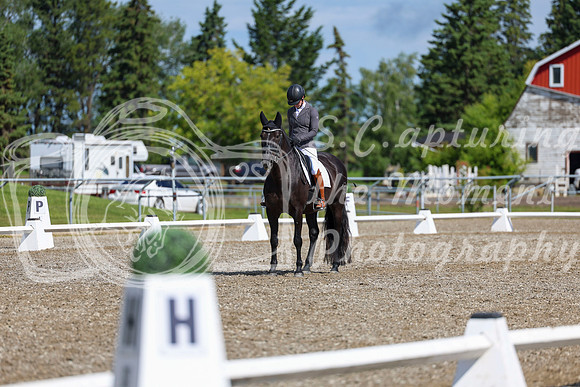 06472 - 2026 Dressage Festival - Sunday July 5th
