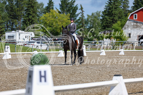 06473 - 2026 Dressage Festival - Sunday July 5th