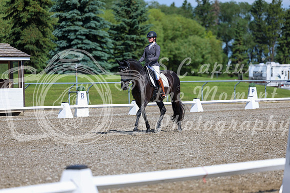 06476 - 2026 Dressage Festival - Sunday July 5th