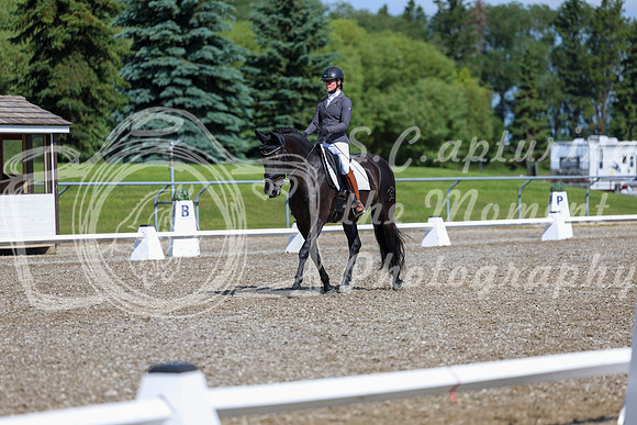 06477 - 2026 Dressage Festival - Sunday July 5th