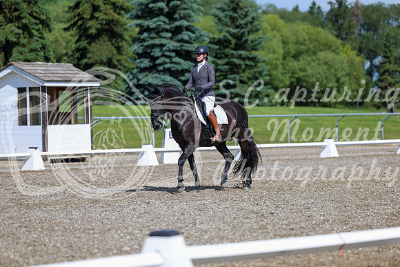 06478 - 2026 Dressage Festival - Sunday July 5th