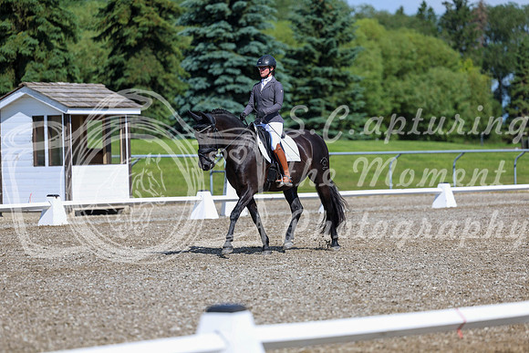 06480 - 2026 Dressage Festival - Sunday July 5th