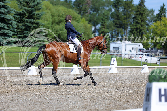 07813 - 2026 Dressage Festival - Sunday July 5th
