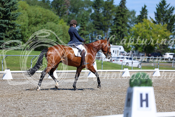 07814 - 2026 Dressage Festival - Sunday July 5th