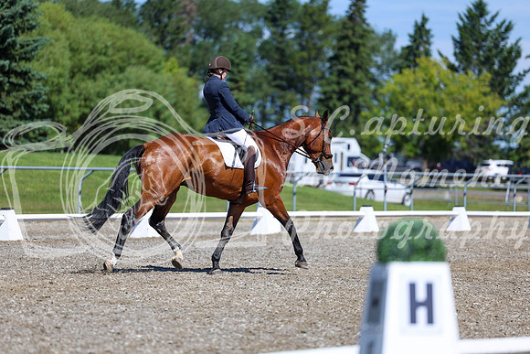 07815 - 2026 Dressage Festival - Sunday July 5th