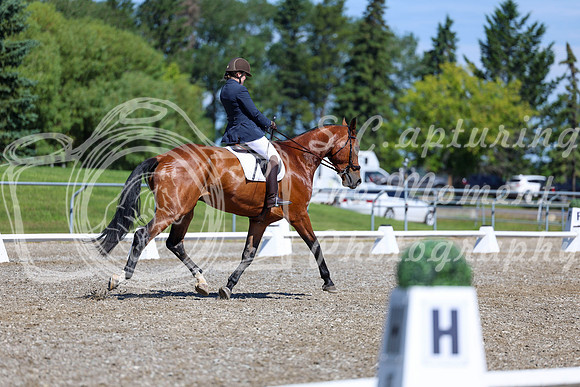 07816 - 2026 Dressage Festival - Sunday July 5th