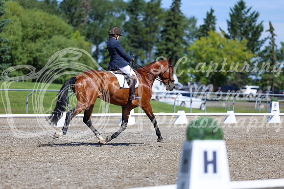 07817 - 2026 Dressage Festival - Sunday July 5th