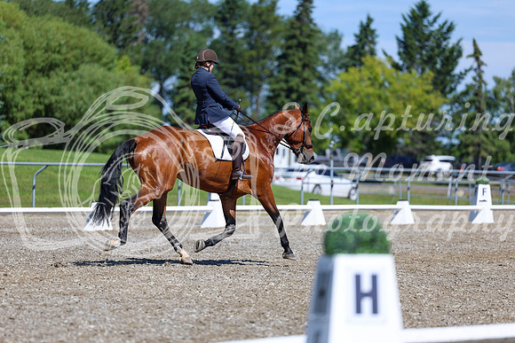 07818 - 2026 Dressage Festival - Sunday July 5th