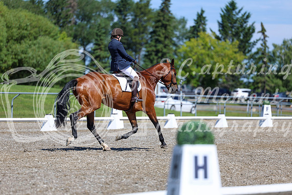 07819 - 2026 Dressage Festival - Sunday July 5th