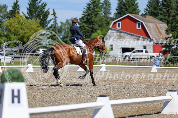 07821 - 2026 Dressage Festival - Sunday July 5th