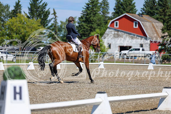 07820 - 2026 Dressage Festival - Sunday July 5th