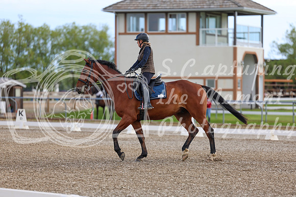 01748 - 2026 Dressage Festival - Sunday July 5th