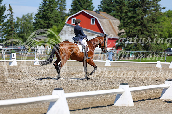 07826 - 2026 Dressage Festival - Sunday July 5th