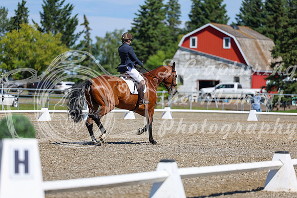 07822 - 2026 Dressage Festival - Sunday July 5th