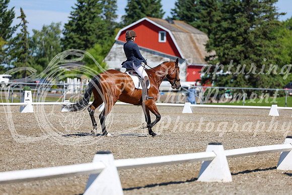07825 - 2026 Dressage Festival - Sunday July 5th