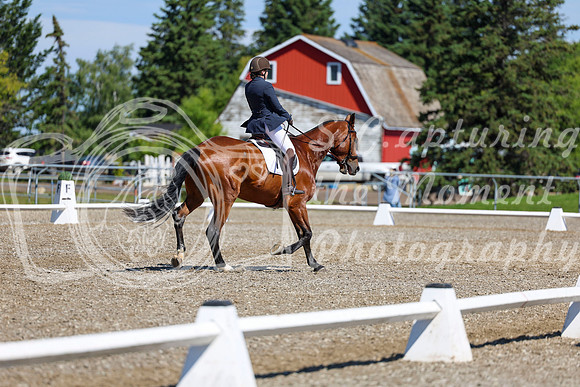 07824 - 2026 Dressage Festival - Sunday July 5th