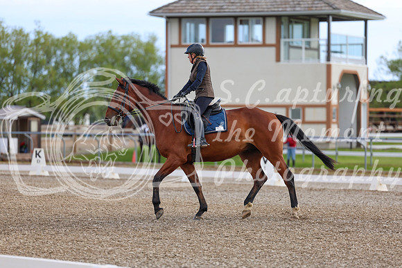 01749 - 2026 Dressage Festival - Sunday July 5th