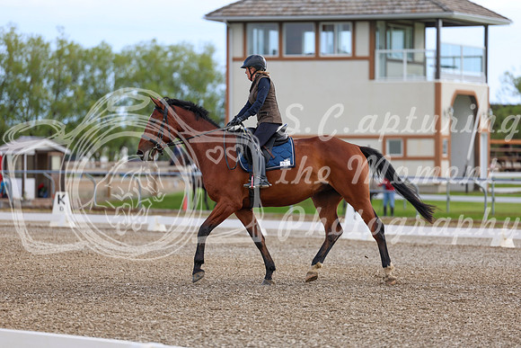 01750 - 2026 Dressage Festival - Sunday July 5th