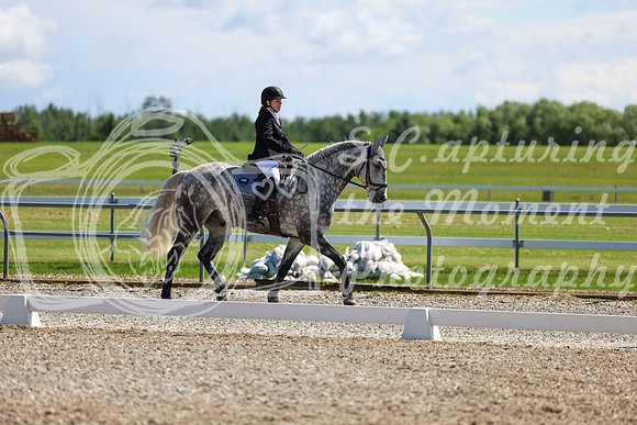 08622 - 2026 Dressage Festival - Sunday July 5th