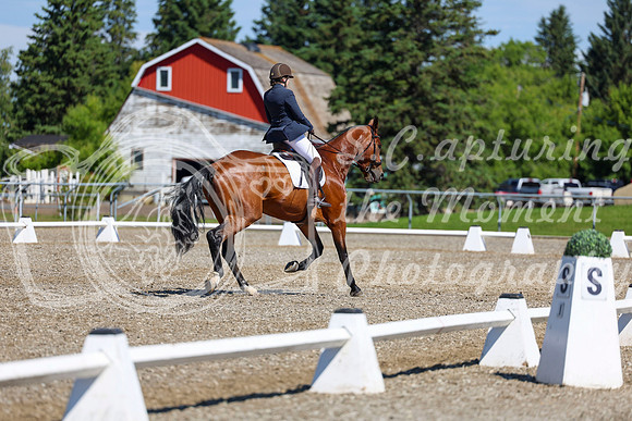 07828 - 2026 Dressage Festival - Sunday July 5th