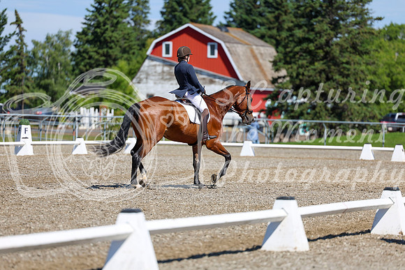07827 - 2026 Dressage Festival - Sunday July 5th