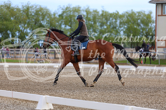 01754 - 2026 Dressage Festival - Sunday July 5th