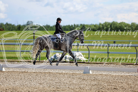 08624 - 2026 Dressage Festival - Sunday July 5th