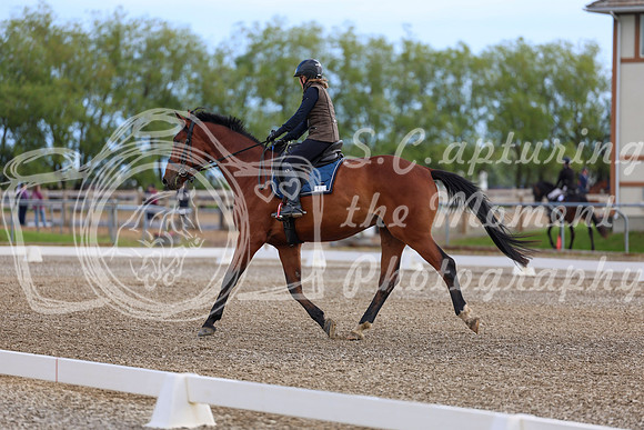 01755 - 2026 Dressage Festival - Sunday July 5th