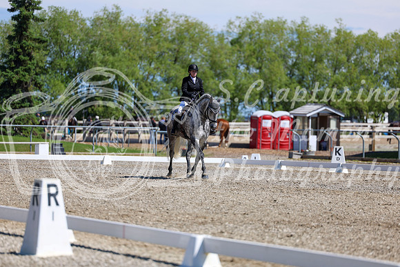 08683 - 2026 Dressage Festival - Sunday July 5th