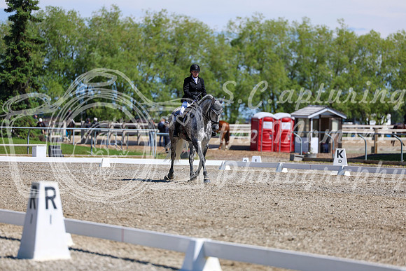 08684 - 2026 Dressage Festival - Sunday July 5th