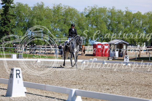 08685 - 2026 Dressage Festival - Sunday July 5th