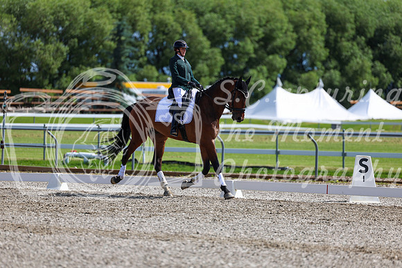 06763 - 2026 Dressage Festival - Sunday July 5th