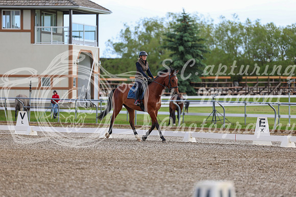 01761 - 2026 Dressage Festival - Sunday July 5th