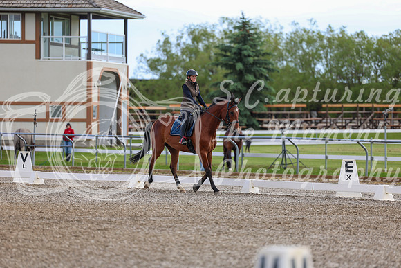 01762 - 2026 Dressage Festival - Sunday July 5th
