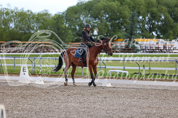01764 - 2026 Dressage Festival - Sunday July 5th