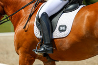 13353 - 2026 Dressage Festival - Sunday July 5th