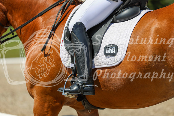 13353 - 2026 Dressage Festival - Sunday July 5th