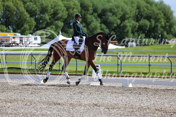 06767 - 2026 Dressage Festival - Sunday July 5th