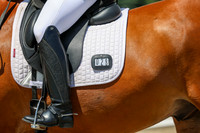 13350 - 2026 Dressage Festival - Sunday July 5th