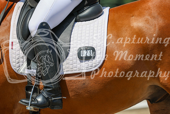 13350 - 2026 Dressage Festival - Sunday July 5th