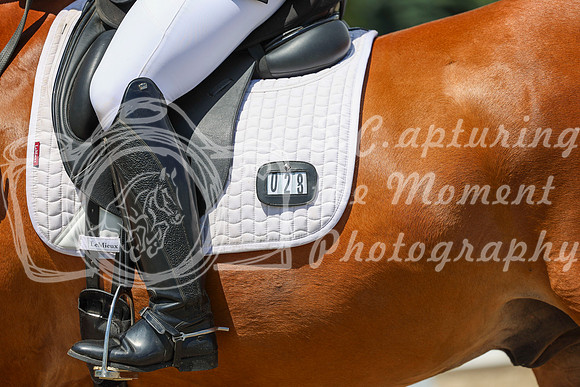 13352 - 2026 Dressage Festival - Sunday July 5th