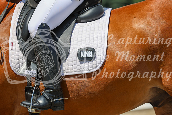 13351 - 2026 Dressage Festival - Sunday July 5th