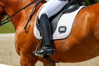 13354 - 2026 Dressage Festival - Sunday July 5th