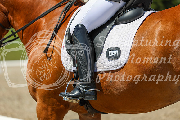 13354 - 2026 Dressage Festival - Sunday July 5th