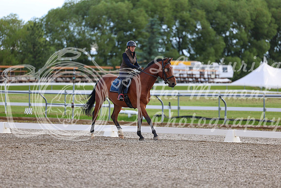 01766 - 2026 Dressage Festival - Sunday July 5th
